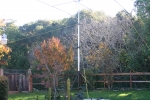 20081123_backyard_antenna_setup_for_sweepstakes_6.jpg