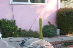 and here's my laughable transmitting antenna, just a 5/8 wave on the patio table